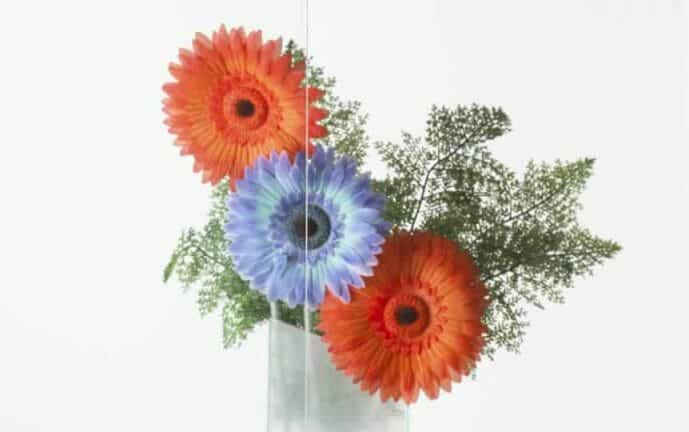 Clear UV Window Film A5 sample window film image showing finish and effect