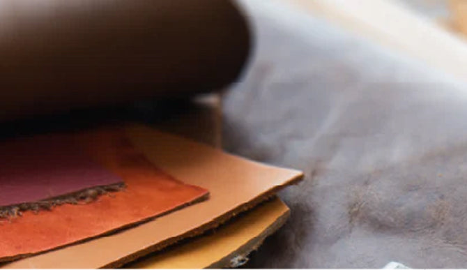 Banner_2da7901e-24fd-4878-90d2-128bedefd42e.jpg