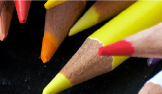 Banner_f0ee76ec-feb2-48ba-a6f8-35f69961c96b.jpg