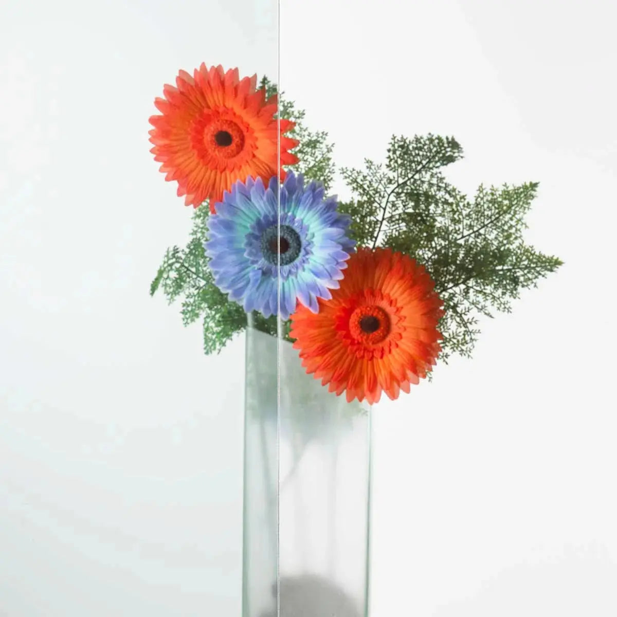 Coolclear solar deluxe window film installed to one side of glass with a flower in the background