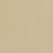 Caramel Leather Wall and Furniture Cover Styl' vinyl wrap | for furniture & walls (NE42)