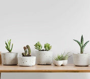 Close-up photo of Cover Styl' Eggshell Velvet Grain Vinyl Wrap installed