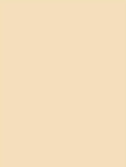 M10 Oat Milk Cover Styl' vinyl wrap | for furniture & walls
