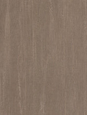 NE13 Shimmery Gold Cover Styl' vinyl wrap | for furniture & walls