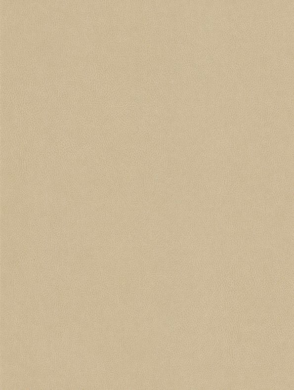 NE42 Cashmere Wall and Furniture Cover Styl' vinyl wrap | for furniture & walls