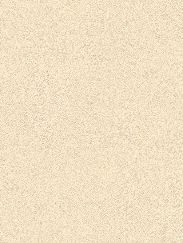 NE43 Cream Wall and Furniture Cover Styl' vinyl wrap | for furniture & walls