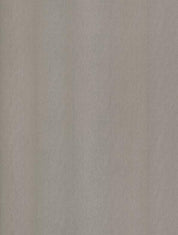 NE51 Champagne Silver Cover Styl' vinyl wrap | for furniture & walls