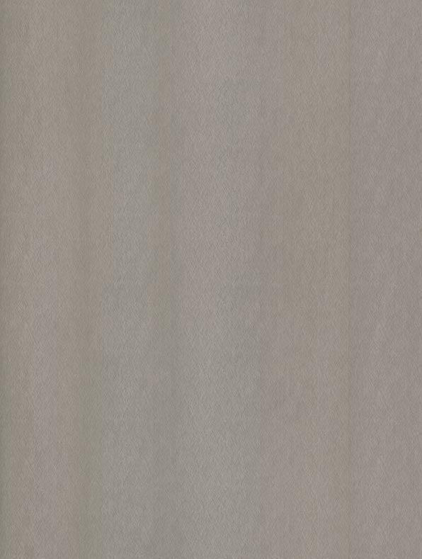 NE51 Champagne Silver Cover Styl' vinyl wrap | for furniture & walls
