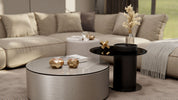 NE51 Champagne Silver Cover Styl' vinyl wrap | for furniture & walls
