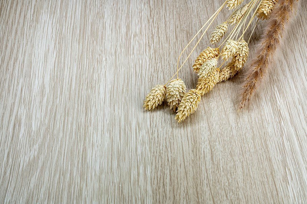 NE61 Cream Grey Oak Cover Styl' vinyl wrap | for furniture & walls