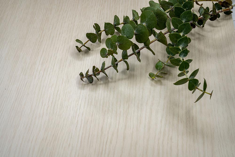 NE63 Pale Hazelwood Cover Styl' vinyl wrap | for furniture & walls