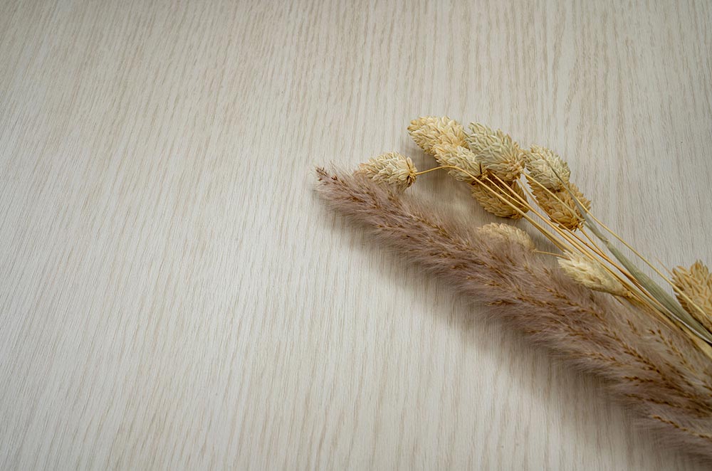 NE63 Pale Hazelwood Cover Styl' vinyl wrap | for furniture & walls