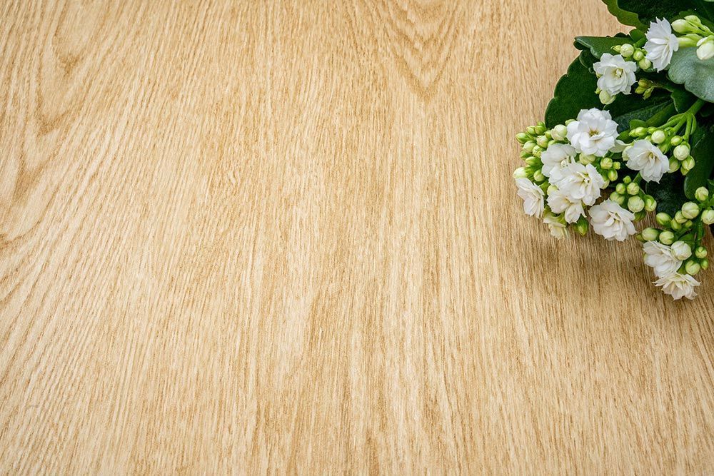 NF36 Biscuit Oak Wall and Furniture Cover Styl' vinyl wrap | for furniture & walls