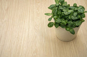 NF36 Biscuit Oak Wall and Furniture Cover Styl' vinyl wrap | for furniture & walls