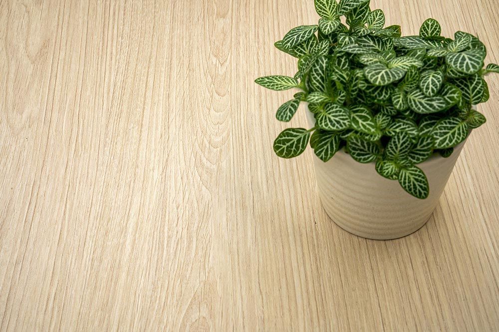 NF36 Biscuit Oak Wall and Furniture Cover Styl' vinyl wrap | for furniture & walls