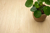 NF36 Biscuit Oak Wall and Furniture Cover Styl' vinyl wrap | for furniture & walls