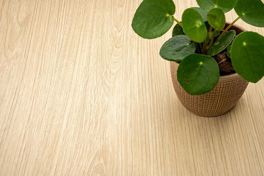 NF36 Biscuit Oak Wall and Furniture Cover Styl' vinyl wrap | for furniture & walls