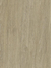 NF44 Bleached Grey Oak Cover Styl' vinyl wrap | for furniture & walls