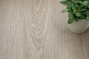 NF57 Beige Faded Oak Cover Styl' vinyl wrap | for furniture & walls
