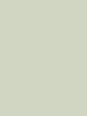 NH05 Pistachio Green Cover Styl' vinyl wrap | for furniture & walls
