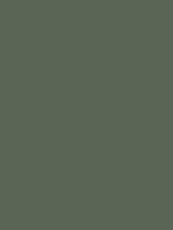 NH08 Forest Green Cover Styl' vinyl wrap | for furniture & walls