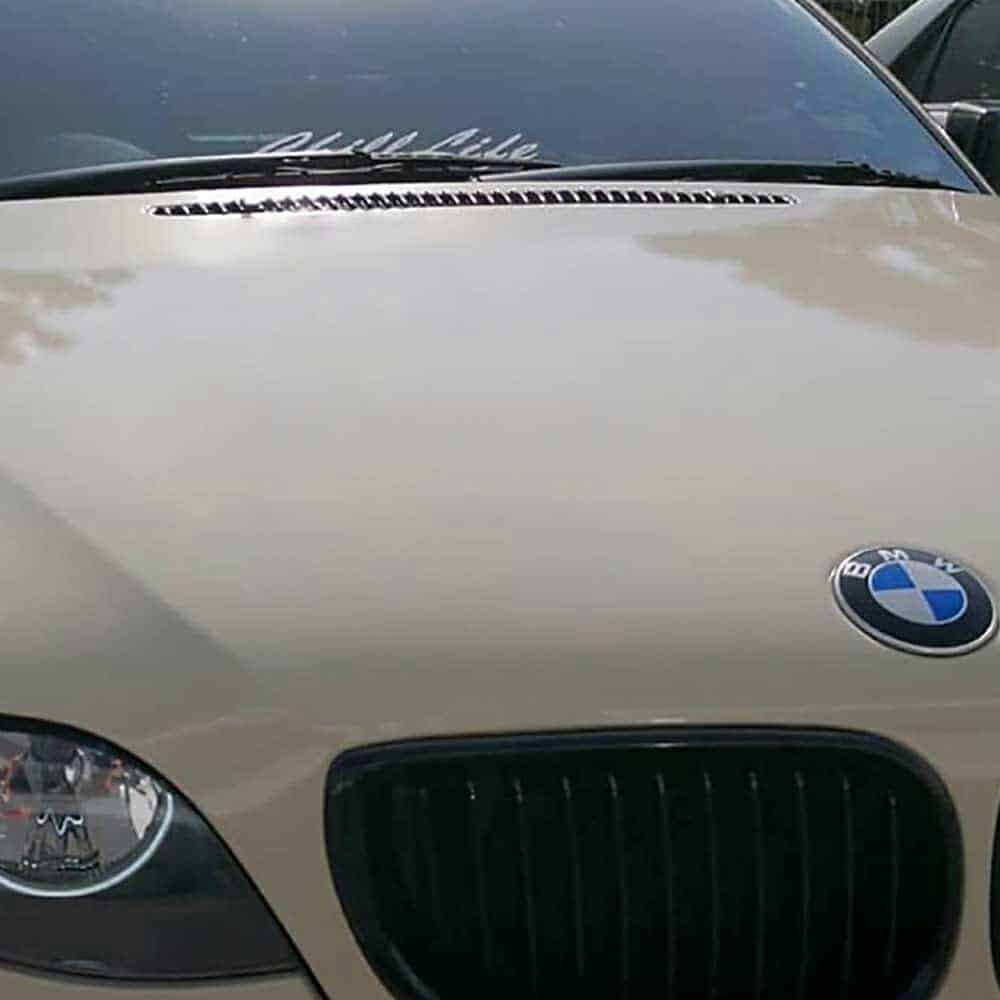 Gloss Taxibeige (809) Oracal 970RA Vehicle Wrap