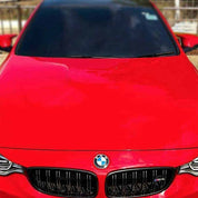 Gloss Rosehip (897) Oracal 970RA Vehicle Wrap