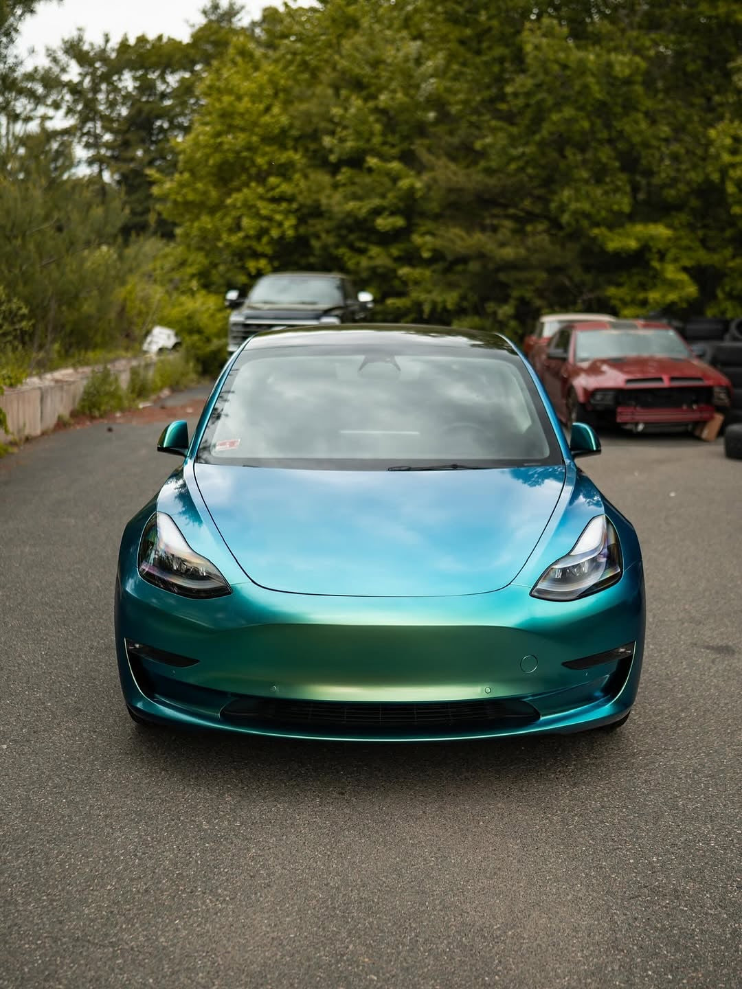 Oracal Gloss Aquamarine installed on a car on a road with trees