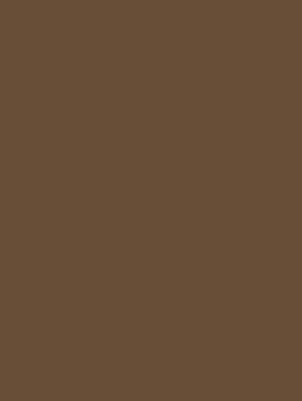 RM04 Brown Chocolate Cover Styl' vinyl wrap | for furniture & walls