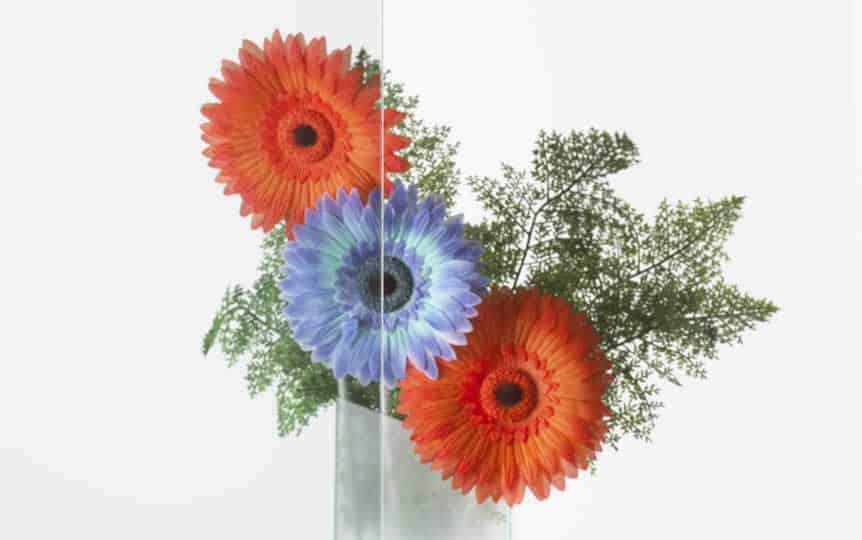 Coolclear Anti Fade Window Film A5 sample window film image showing finish and effect