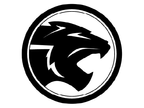 A Match for Every Proton Model