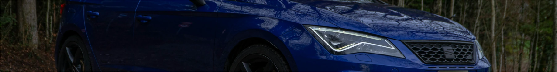 Blue Seat in front of forest with new Seat window tints installed